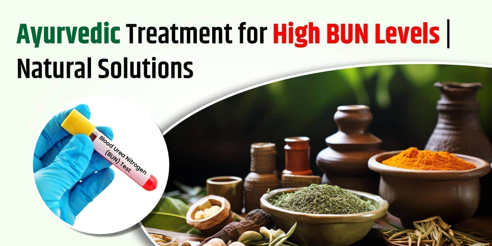 Ayurvedic Treatment for High BUN Levels | Natural Solutions